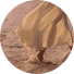 Close-up of wind-rippled sand dunes