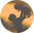 Adult lifting a child joyfully against a golden sky